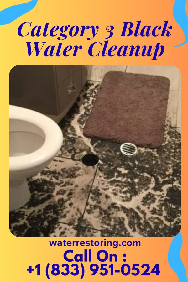 Category 3 Black Water Cleanup in Benton, TN