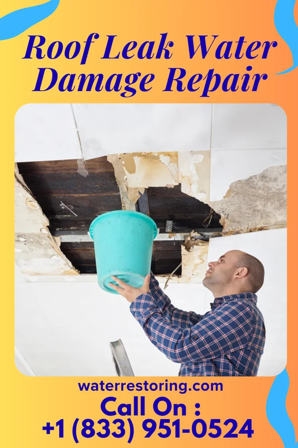 Roof Leak Water Damage Repair in Benton, TN