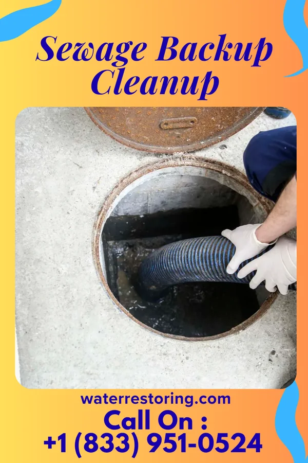 Sewage Backup Cleanup in Benton, TN