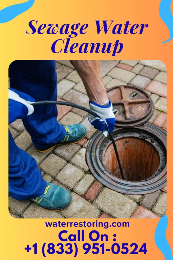 Sewage Water Cleanup in Benton, TN